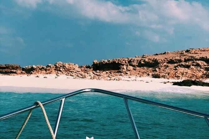 Daymaniyat Islands Snorkeling Half-Day Tour - Photo moments, social media, and the reality of sharing the ocean