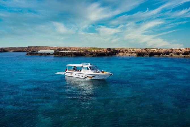 Daymaniyat Islands Snorkeling Sharing Trip - Price and Value: Is $106 a Good Deal?