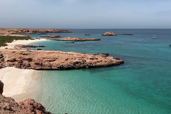 Daymaniyat Islands Snorkeling Sharing Trip - Who Should Book This Trip, and Who Might Want Something Else?