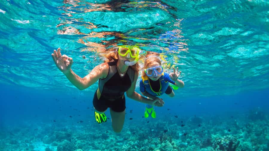 Daymaniyat Islands Snorkeling Small Group Turtles - Key highlights you should care about