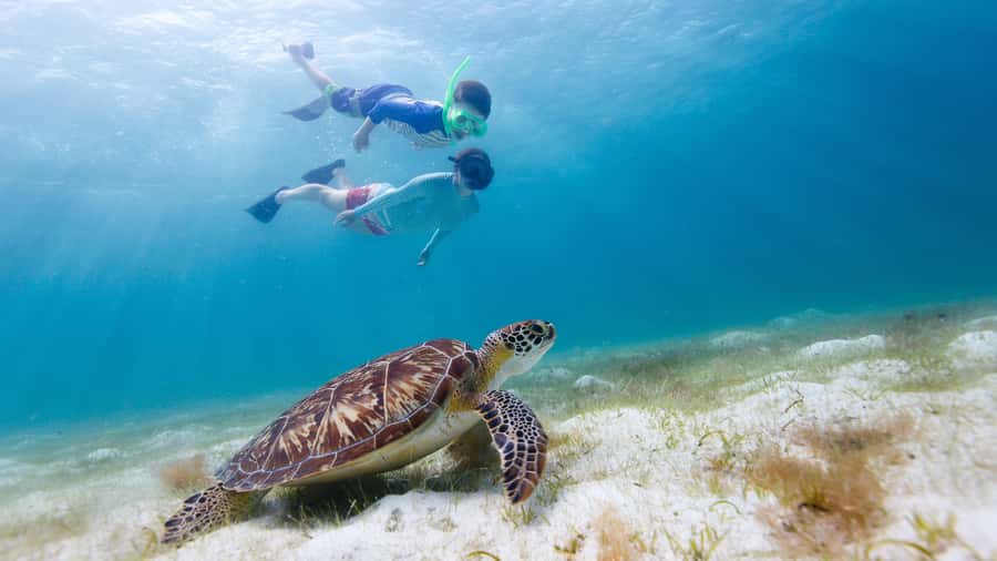 Daymaniyat Islands Snorkeling Small Group Turtles - Seeb Port start: gear, safety, then you’re off