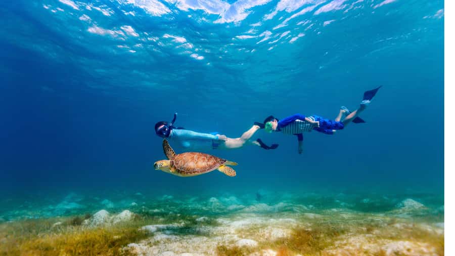 Daymaniyat Islands Snorkeling Small Group Turtles - Daymaniyat Islands Nature Reserve: photo stop and land time