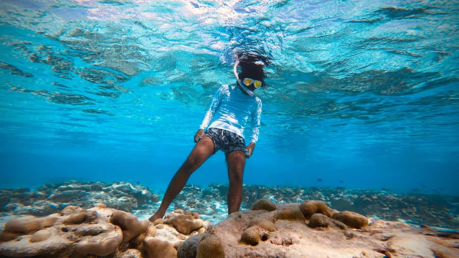 Daymaniyat Islands Snorkeling Small Group Turtles - Value check: is $104 a good deal for turtles and reef time?