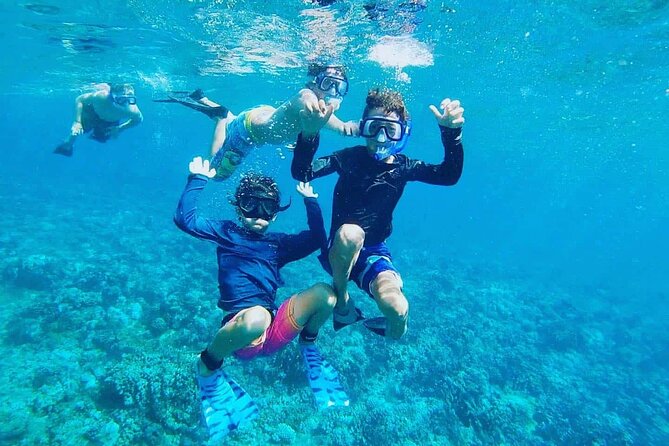 Daymaniyat Islands Snorkeling Tour - Dolphin Watching with Captain-Led Positioning