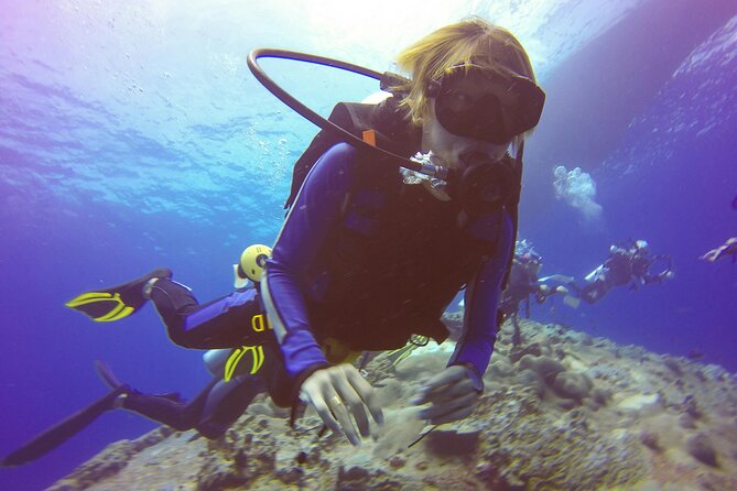 Daymaniyat Islands Snorkeling Tour - Snorkeling Stops, Turtle Watching, and the Marine Life You Can Actually See