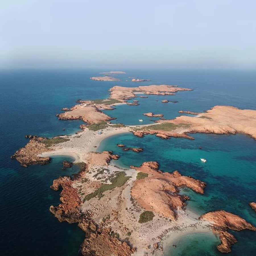 Daymaniyat Islands Snorkeling with Picnic Lunch - Island Walk and Picnic Lunch: The Best Kind of Recharge