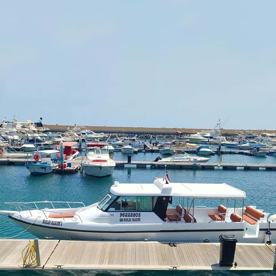 Daymaniyat Islands Snorkeling with Picnic Lunch - Guides, Captains, and the Human Side of the Day