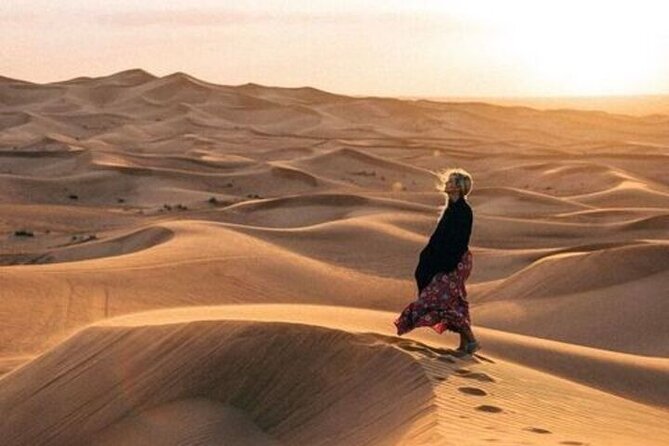 Desert Overnight in Private Bedouin Tent - Key highlights worth caring about