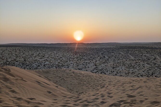 Desert Safari in Empty Quarter with Dune Bashing - From Salalah to Wadi Dawkha, where frankincense turns into a real story