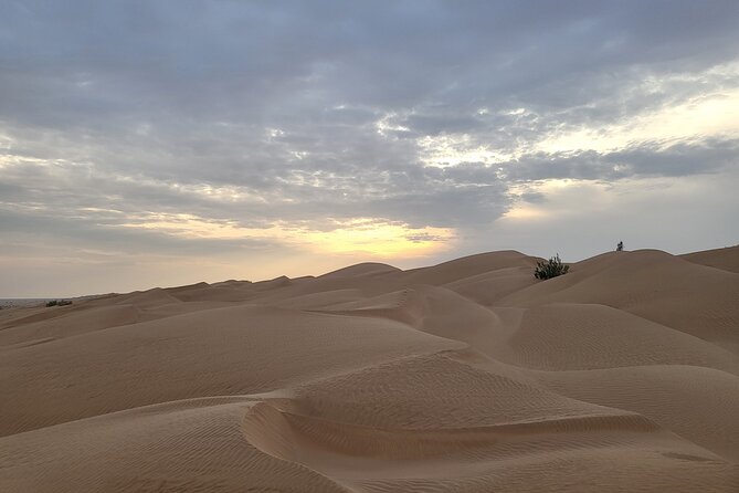 Desert Safari in Empty Quarter with Dune Bashing - What the 9-hour day feels like, including driving and walking
