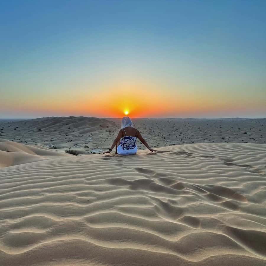 Desert Safari, Sunset & Sand Bashing (Rub Al Khali Desert) - Who should book, and who should skip it