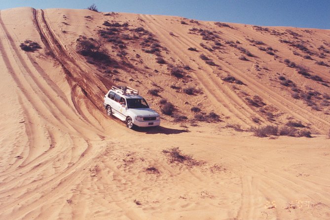 Desert Safari to Wahiba Sands and Wadi Bani Khalid from Muscat - From Muscat pickup to Wahiba Sands dune bashing