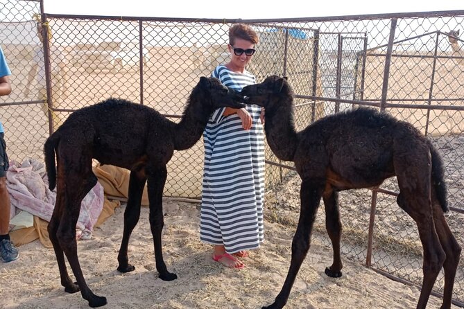 Desert Sunset Tour VisitSalalah - How this Salalah desert sunset tour plays in real life