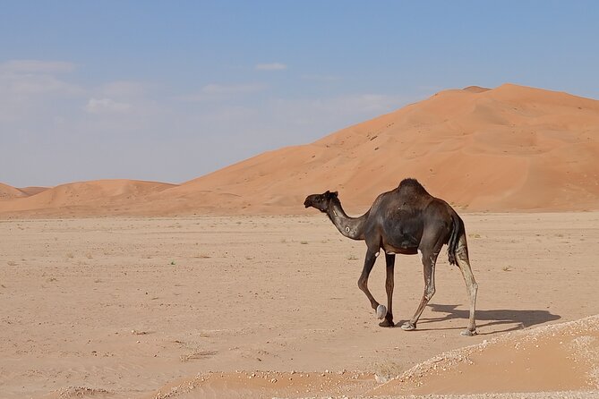 Desert Sunset Tour VisitSalalah - Private 4x4 comfort and the small-group advantage