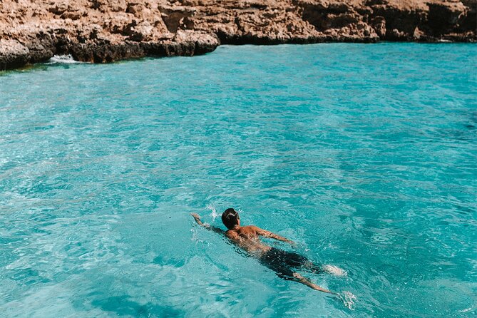 Dimaniyat Island Tour on Glass Bottom Boat (Muscat) - Swimming vs Snorkeling vs Staying on the Glass Floor