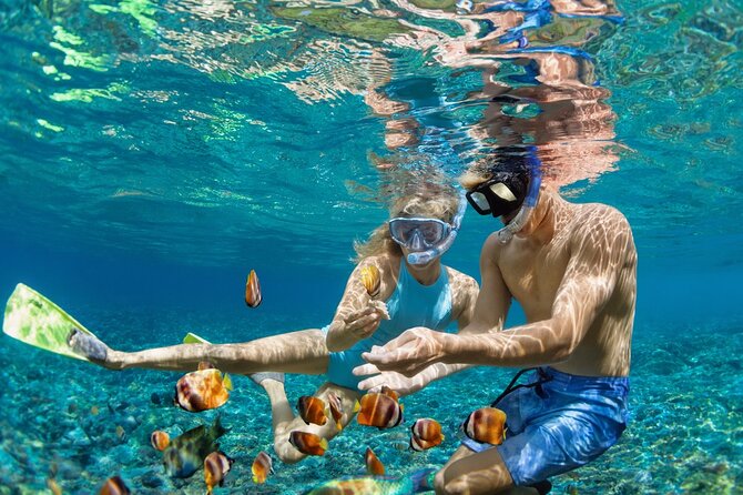 Dimaniyat Island Tour with Snorkeling - From Al Mouj Muscat to open water, timing and the boat reality