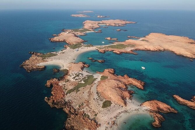 Dimaniyat Island Tour with Snorkeling - Dolphin watching from the boat, and why guidance matters
