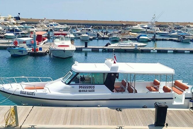 Dimaniyat Island Tour with Snorkeling - Island time, beach breaks, and what to expect after snorkeling