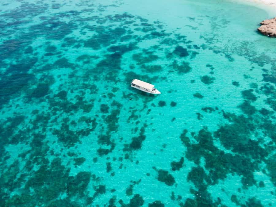 Dimaniyat Islands Scuba Diving Trip - Price and Value: Why $165 Can Make Sense for Certified Participants