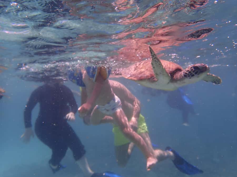Dimaniyat Islands Snorkeling Trip - Key things I’d circle before you go