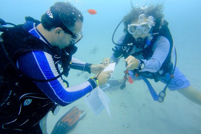 Discover Scuba Diving from a Fishing Village - Price and value: Is $138 a fair deal for Muscat?