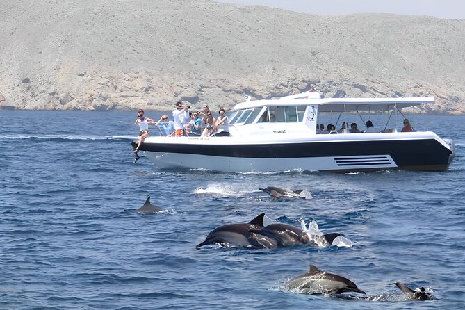 Dolphin Watching and Snorkeling Activity in Muscat - Key Highlights Worth Your Energy