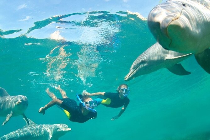 Dolphin Watching and Snorkeling Activity in Muscat - Snorkeling Over Coral Beds: Fish, Turtles, and Being Ready
