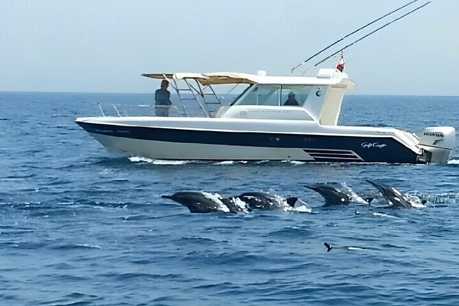 Dolphin Watching and Snorkeling Activity in Muscat - Who Should Book This Tour (and Who Might Skip It)