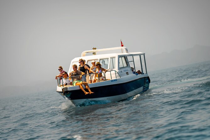 Dolphin Watching in Muscat - Dolphin watching in Muscat, the real expectations