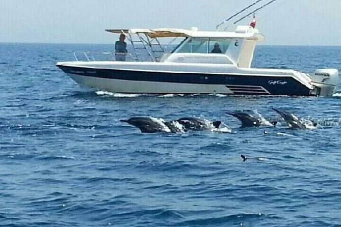Dolphin Watching in Muscat - Al Bustan Palace and the sea view factor