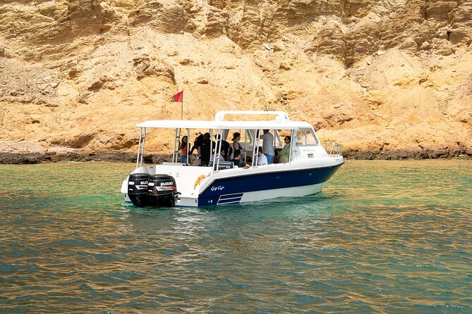 Dolphin Watching in Muscat - Who should book this dolphin watching in Muscat