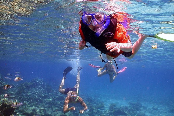 Dolphin Watching & Snorkeling - Onboard Comfort You’ll Appreciate More Than You Think