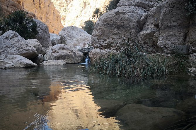 East Coast and Wadi Shab tour - From Muscat at 7:00 am to the East Coast wadis