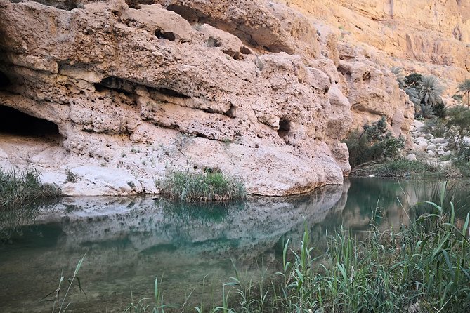 East Coast and Wadi Shab tour - Price and value: $400 per group for up to 4