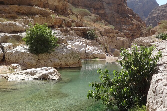 East Coast and Wadi Shab tour - Who should book this East Coast and Wadi Shab day tour