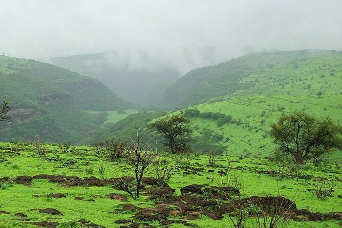 East of Salalah, Mountain Safari, Camels, Waterfall, White beach - How long it really takes, and how to make it comfortable