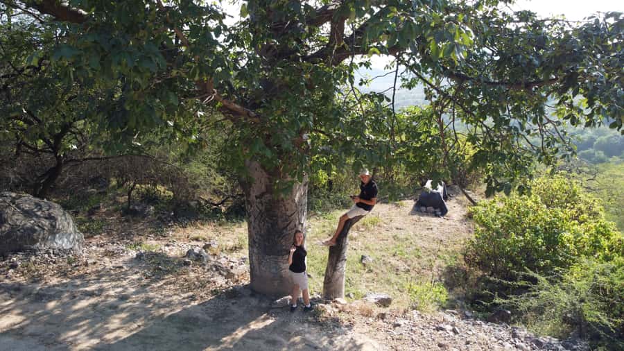 East Salalah Adventure: Nature, History, and Scenic Views - Price and value: what you get for $150 per person