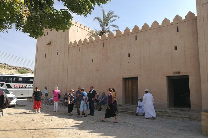 East Salalah Highlights: Half-Day Heritage & Scenic Countryside - Stop 2: Taqah Cliff Viewpoint and the Dolphin Possibility