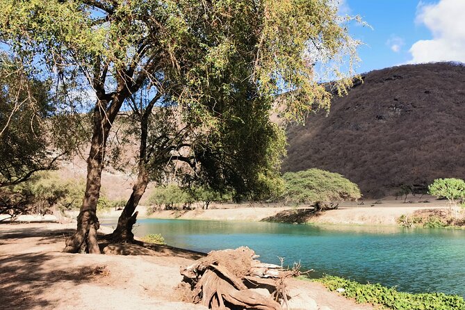 East Salalah Highlights: Half-Day Heritage & Scenic Countryside - Stop 4: Tawi Attair Well of Birds Sinkhole, 211 m of Limestone