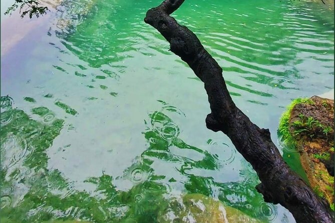 East Salalah Mountain Safari - Baobab trees and the anti-gravity style stop near the end