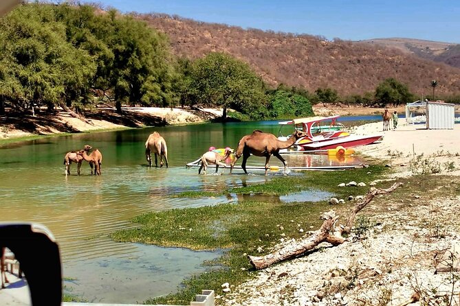 East Salalah Private Tour by VisitSalalah - Wadi Darbat: Waterfalls, Caves, Camels, and Khareef Green