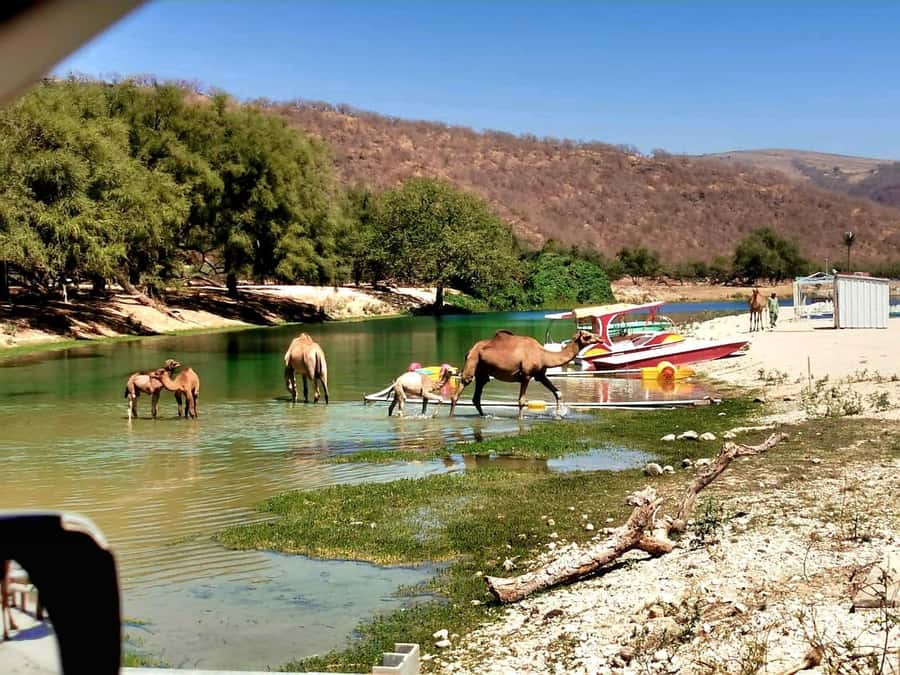 East Salalah Tour by VisitSalalah - Key things that make this tour worth your time