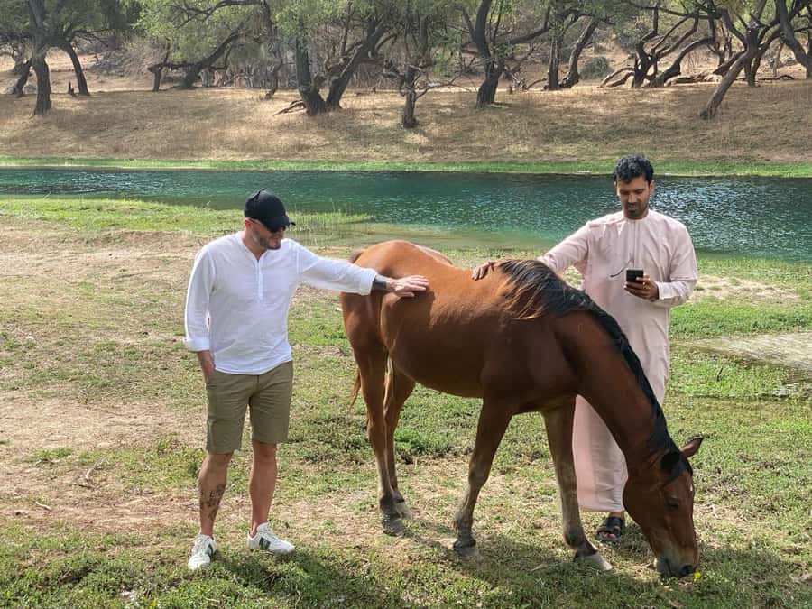 East Salalah Tour by VisitSalalah - Price and value: what $160 covers, and what costs extra