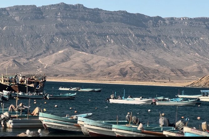 East Salalah tour Full day (private tour) - Price and logistics: how $100 per person stacks up