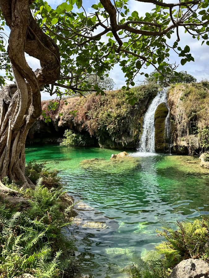 Elite Private Full Day Tour - Salalah Main Attractions - Key highlights at a glance