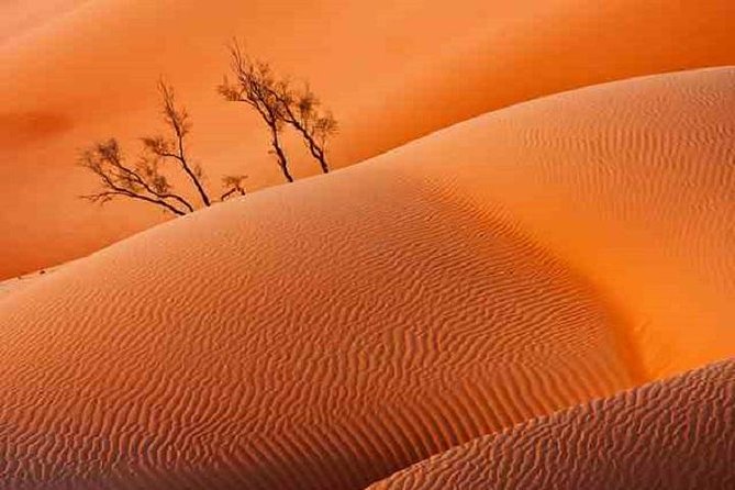 Empty Quarter And Lost City Of Ubar - Salalah pickup, the Qara Mountains drive, and a reality check on time