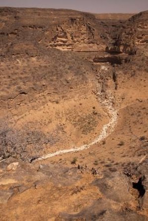 Empty Quarter & Lost City from Salalah - Key highlights before you go