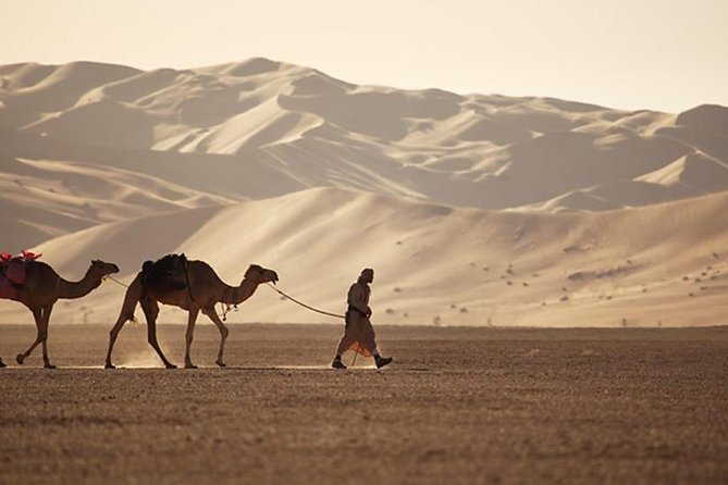 Empty Quarter & Lost City from Salalah - Rub Al Khali (Empty Quarter): 250-Metre Dunes Up Close