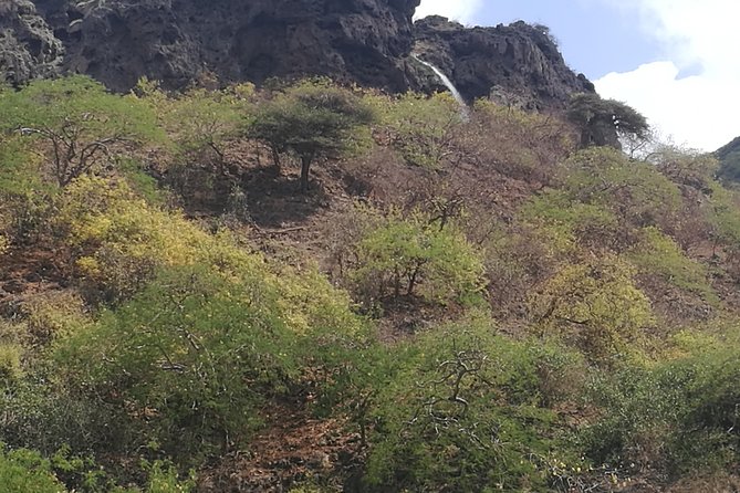 Enjoy a Full-Day Tour Uncovering East Salalah’s Hidden Gems - Taqah Castle: mud-house Dhofar and a real Wali-era connection