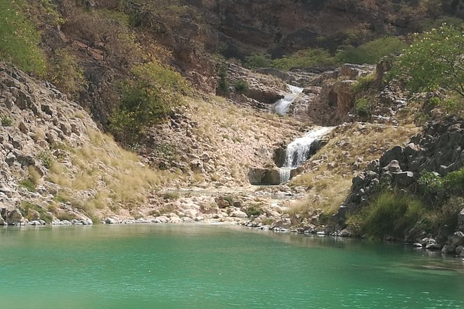 Enjoy a Full-Day Tour Uncovering East Salalah’s Hidden Gems - Gravity Point: the car-in-neutral moment that messes with your sense of up
